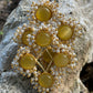 Unique Yellow Color Glass Stone with Beads
